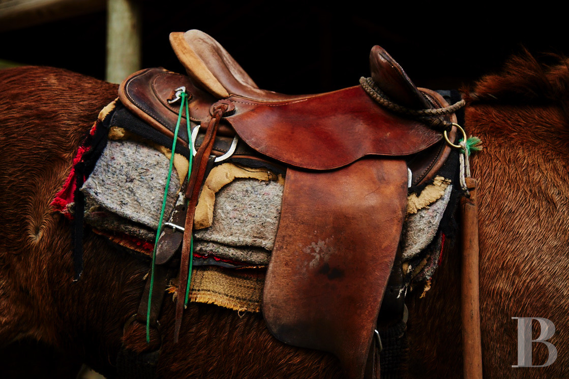 Au Brésil, dans l’État de São Paolo, une fazenda en autosubsistance dédiée à l’art et à la nature - photo  n°35